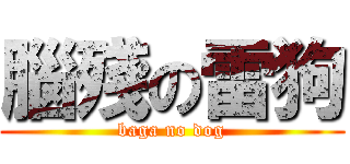 腦殘の雷狗 (baga no dog)