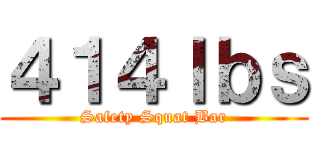 ４１４ｌｂｓ (Safety Squat Bar)
