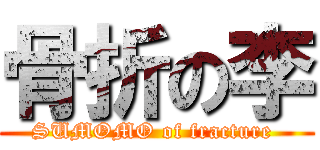 骨折の李 (SUMOMO of fracture )