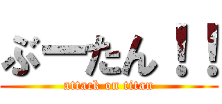 ぶーたん！！ (attack on titan)