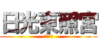 日光東照宮 (について)