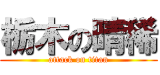 栃木の晴稀 (attack on titan)