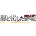 豚と化した赤坂 (BUTA)