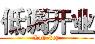 低调开业 (Low-key)