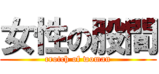 女性の股間 (crotch of woman)