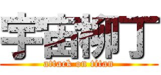 宇宙柳丁 (attack on titan)