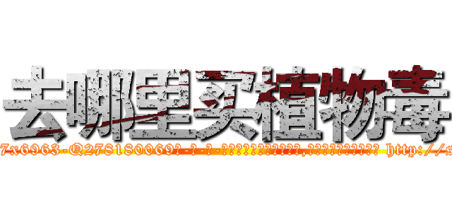 去哪里买植物毒 (去哪里买植物毒【电-186x2687x6963-Q278180069元-吉-药-业】我们做的是长期生意,靠的是老客户长期支持 http://sngk.net/pWzu9a
)