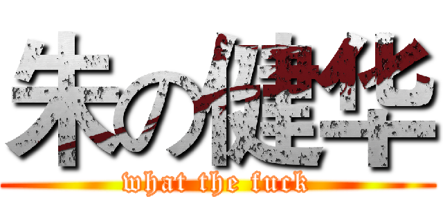 朱の健华 (what the fuck)