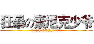 狂暴の索尼克少爷 (Angry SUP_Sonic)