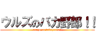 ウルズのバカ野郎！！ (uruzu on bakayarou!!)