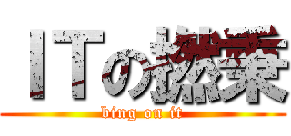 ＩＴの撚秉 (bing on it)