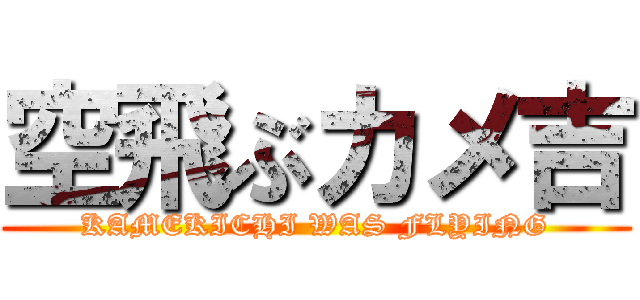 空飛ぶカメ吉 (KAMEKICHI WAS FLYING)