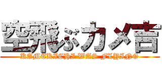 空飛ぶカメ吉 (KAMEKICHI WAS FLYING)