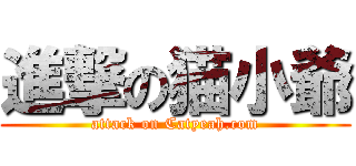 進撃の猫小爺 (attack on Catyeah.com)