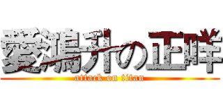 愛鴻升の正咩 (attack on titan)