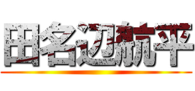 田名辺航平 ()