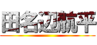 田名辺航平 ()