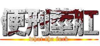 便刑莖肛 (what the fuck)