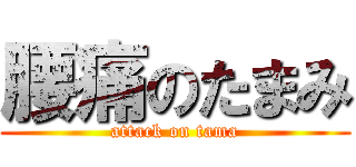 腰痛のたまみ (attack on tama)