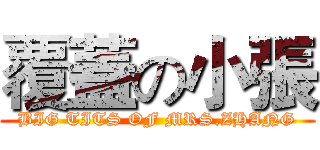 覆蓋の小張 (BIG TITS OF MRS.ZHANG)