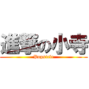 進撃の小寺 (Popsicle)