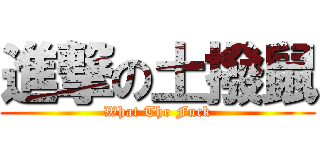 進撃の土撥鼠 (What The Fuck)