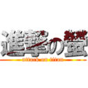 進撃の螢 (attack on titan)