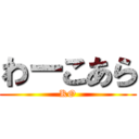 わーこあら (KO)