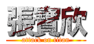 張寶欣 (attack on titan)