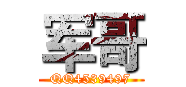 军哥 (QQ4539497)