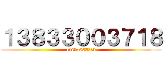 １３８３３００３７１８ (13833003718)
