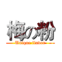 梅の粉 (Unique flavor)