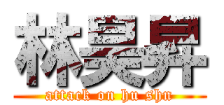 林昊昇 (attack on hu shn)
