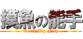 摸魚の能手 (Touch Big Fish)