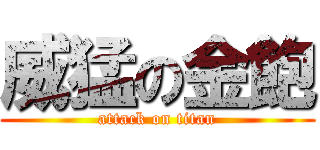 威猛の金飽 (attack on titan)