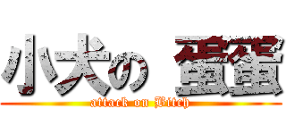 小犬の 蛋蛋 (attack on Bitch)