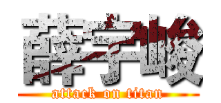 薛宇峻 (attack on titan)