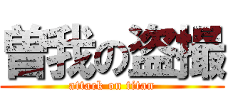 曽我の盗撮 (attack on titan)