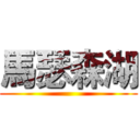 馬瑟森湖 ()