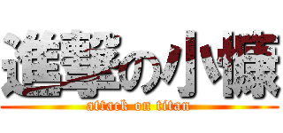 進撃の小慷 (attack on titan)