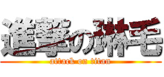 進撃の琳毛 (attack on titan)