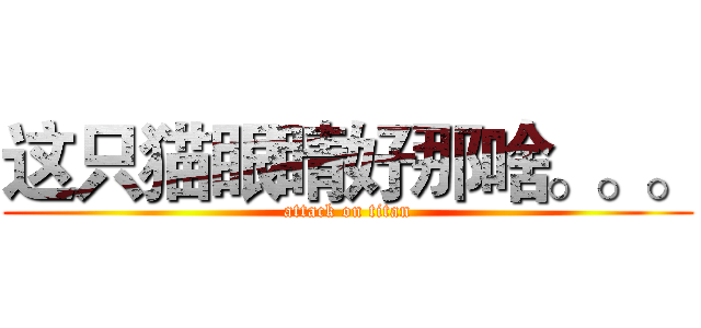 这只猫眼睛好那啥。。。 (attack on titan)