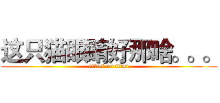 这只猫眼睛好那啥。。。 (attack on titan)