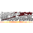 楓葉潮流 (attack on titan)