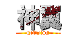 神翼 (godwing)