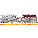 進撃の溺魚 (attack on FISH)