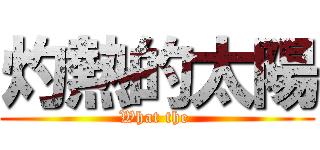 灼熱的太陽 (What the )