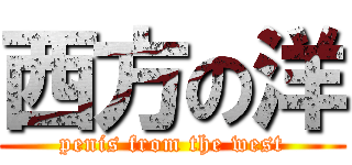 西方の洋 (penis from the west)
