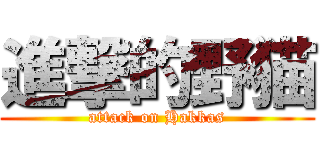 進撃的野猫 (attack on Hakkas)