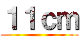 １１ｃｍ ()